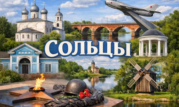 Сольцы Новгородская область